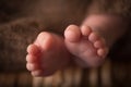 Baby feet. The tiny foot of a newborn in soft selective focus. Image of the soles of the feet. Royalty Free Stock Photo