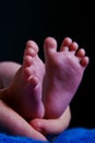 Baby feet Royalty Free Stock Photo