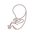 Baby fetus pregnancy isolated icon