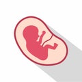 Baby fetus in the uterus icon, flat style