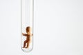 Baby Figurine In A Test Tube