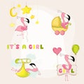 Baby Flamingo Set - Baby Shower or Arrival Card