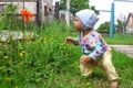 Baby at flower Royalty Free Stock Photo