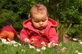 Baby and flower