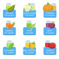 Baby Food Infographic Set Of Stickers