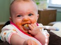 Baby Food Introduction Royalty Free Stock Photo