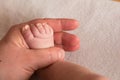 Baby foot in an adult hand - close-up Royalty Free Stock Photo