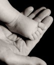 Baby foot on mans hand in black and white Royalty Free Stock Photo