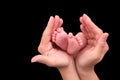 Baby foot in mother hands on black background Royalty Free Stock Photo