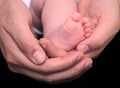 Baby foot in mother hands on black background Royalty Free Stock Photo