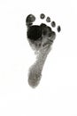 Baby Foot Print