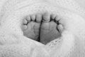 Baby foot on soft coverlet, blanket. Detail of a newborn baby legs Royalty Free Stock Photo