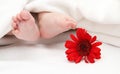 Baby foots with a flower in the foreground