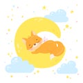 Baby fox sleeps on the half moon with a stars and clouds. Royalty Free Stock Photo