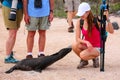 Baby Galapagos sea lion looking at young woman on North Seymour Royalty Free Stock Photo