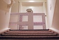 Baby gate view from basement with carpet stairs