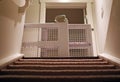 Baby gate view from basement with carpet stairs