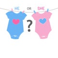 Baby body. Baby gender reveal background. Royalty Free Stock Photo