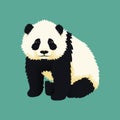 Baby giant panda sitting. Black and white chinese bear cub. Royalty Free Stock Photo