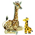 Baby giraffe and toy camelopard, watercolor