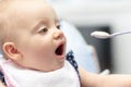 Baby girl being fed with a spoon Royalty Free Stock Photo