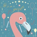 Baby girl Birth announcement. Baby shower invitation card. Cute Pink Flamingo Bird announces the arrival of a baby girl. Retro Royalty Free Stock Photo