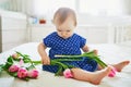 Baby girl in blue dress playing with bunch of pink tulips