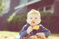 Baby Girl with Bow on Head Playing with Leaves on a Fall Day Royalty Free Stock Photo