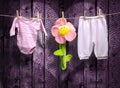 Baby girl clothes and a flower on a clothesline