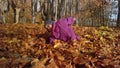 Baby girl crawling around in autumn leaves, near Sophienholm, Bagsvaerd, Copenhagen, Denmark. 1080p