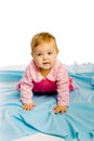 Baby girl crawling on the blue coverlet. Studio