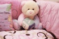 Baby girl crib and teddy bear Royalty Free Stock Photo