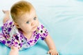 Baby girl in a dress creeps on the blue coverlet Royalty Free Stock Photo