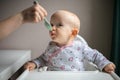 Baby girl eating blend mashed food sitting, on high chair, mother feeding child, hand with spoon for vegetable lunch Royalty Free Stock Photo