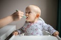 Baby girl eating blend mashed food sitting, on high chair, mother feeding child, hand with spoon for vegetable lunch Royalty Free Stock Photo