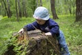 Baby girl exploring the stump in the forest. The kid in Panama touches the stump of a tree. First steps in the forest Royalty Free Stock Photo