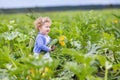 Baby girl on farm field gathering ripe zucchini