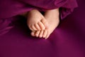 Baby girl feet on raspberry background, closeup of barefeet, maternity and babyhood concept Royalty Free Stock Photo