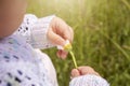 Baby girl is holding in hands white daisy petals and plucking for her fortune. Royalty Free Stock Photo