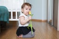 Baby girl holding hands yellow tulip, trying to smell or eat it, sitting on floor in domestic room Royalty Free Stock Photo