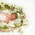 Baby girl inside of basket with spring flowers. Royalty Free Stock Photo