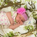 Baby girl inside of basket with spring flowers. Royalty Free Stock Photo