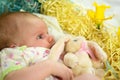 Baby girl inside of basket with spring flowers. Royalty Free Stock Photo