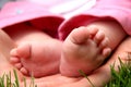 Baby Girl little toes in mothe Royalty Free Stock Photo