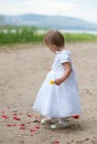 Baby girl looks and rose petals Royalty Free Stock Photo