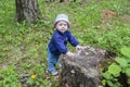 Baby girl 8-9 months walking through the woods, learning to walk, holding on to the stump. Little girl in jeans and a hat in the Royalty Free Stock Photo