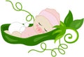 Baby girl pea in a green pod Royalty Free Stock Photo