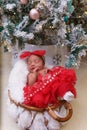 Baby girl peacefully naps beneath a Christmas tree