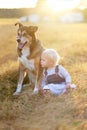 Baby Girl And Pet German Shepherd Dog Relaxing on Farm at Sunset Royalty Free Stock Photo