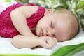 Baby girl in pink inside of basket with spring flowers. Royalty Free Stock Photo